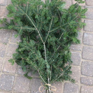 Landscape-plus-fir-bundle-of-boughs-for-sale-calgary