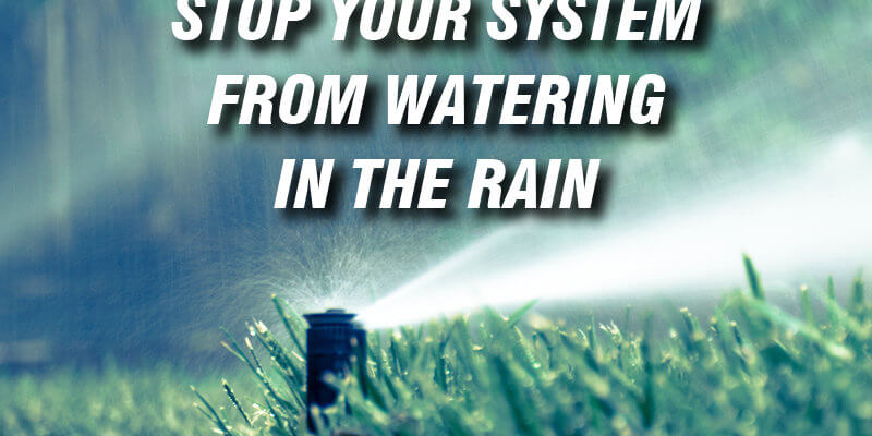 a wireless rain sensor will stop your system from watering in the rain