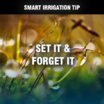 water smarter - set it and forget it