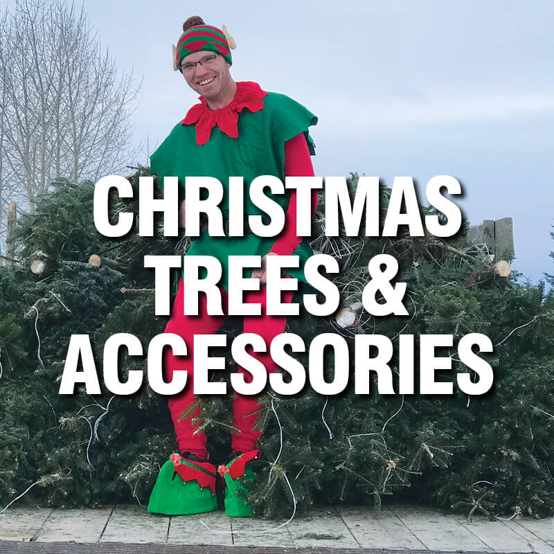 landscape plus category real christmas trees and accessories