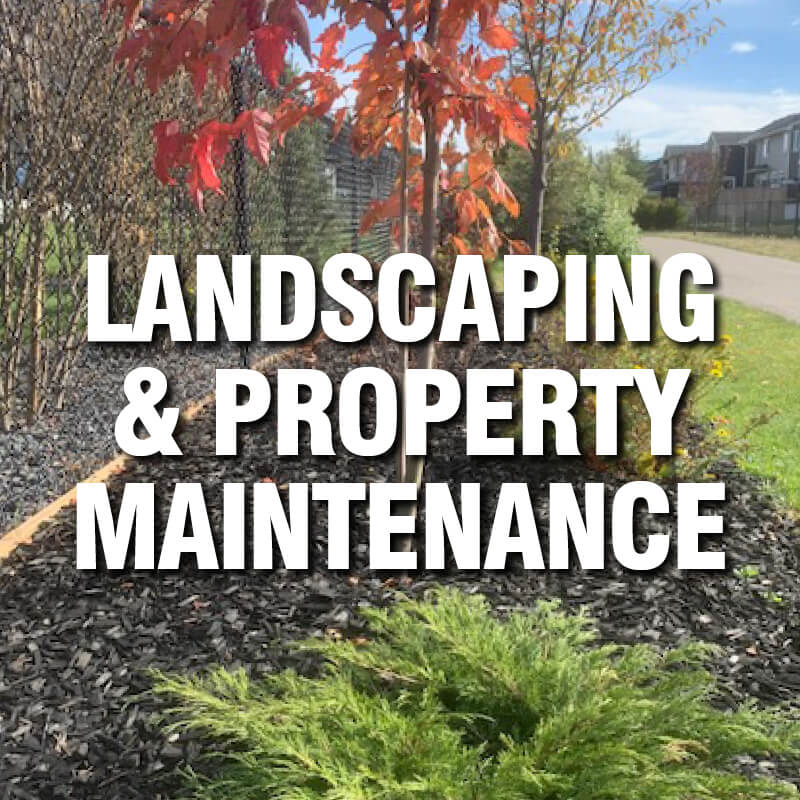 landscape plus category landscaping and property maintenance