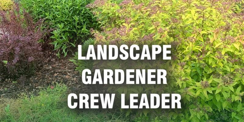 Landscape Gardener Crew Leader Landscape Plus jobs strathmore