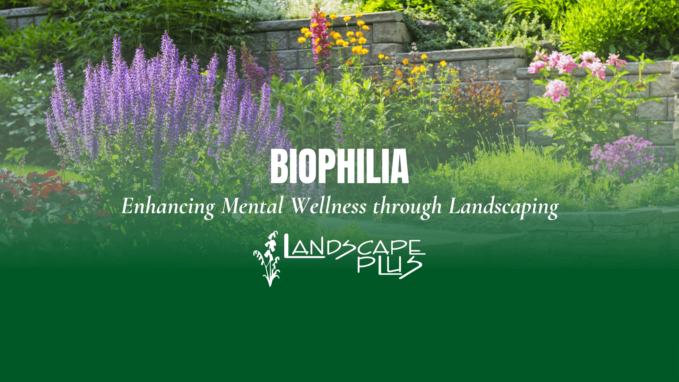 Biophilia - Mental Wellness Landscaping