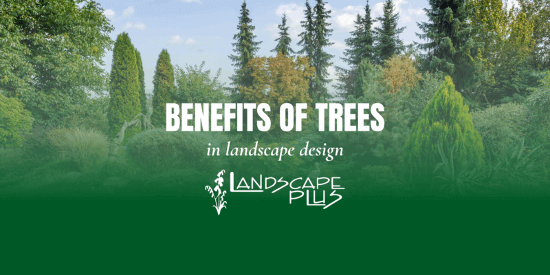 benefits of trees in landscape design