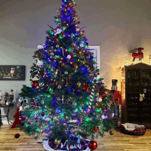 image_2025-11-25_143632125